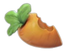 Carrot