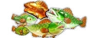 Fish (Money)